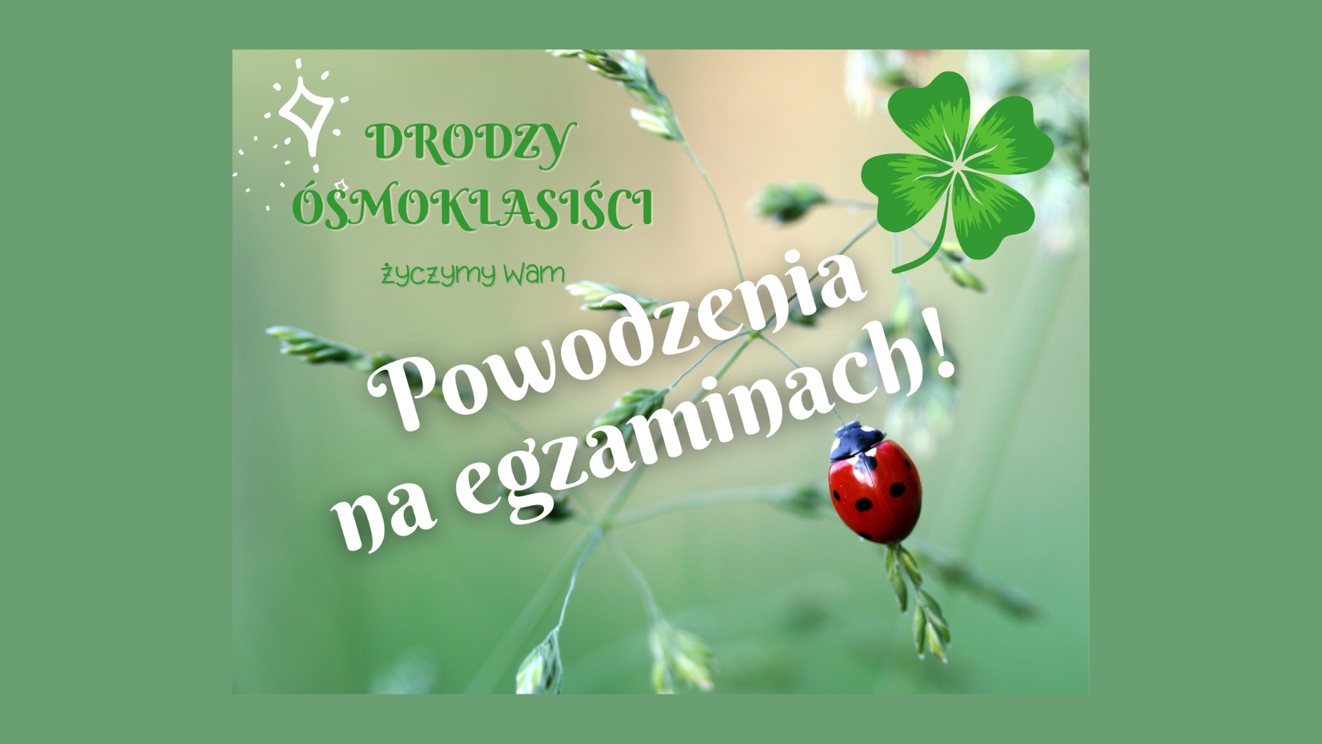 Projekt bez nazwy (3).jpg