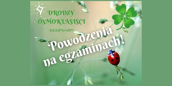 Projekt bez nazwy (3).jpg