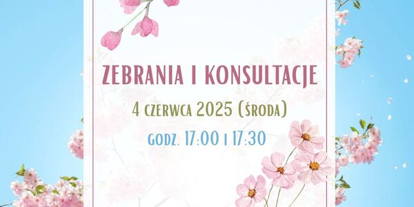 Różowe Wiśnia Kwiaty Lato Instagram Post (1080 x 700 px).jpg